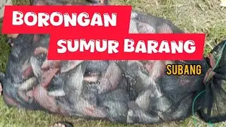 Strike dan hasil yang sangat memuaskan 🔥2 koja sampai terisi full‼️😱