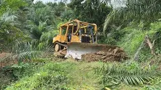 Repairing Damaged Roads in Oil Palm Plantations with a D6R XL Bulldozer