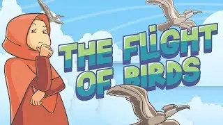 The Flight of Birds | Miracles of The Quran | Mindblowing