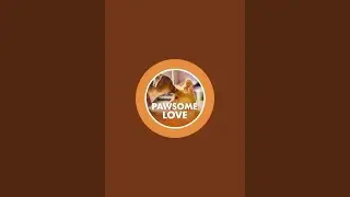 pawsome love  is live