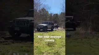 Not your average 4x4 convoy 😂 #jeep #toyota #4x4 #squad #shorts