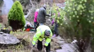 Lee Abbey Estate Working Party