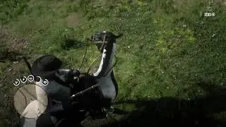 Red Dead Online - Cougar vs Hungarian Halfbred