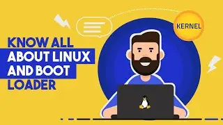 Bluecat DNS Learning