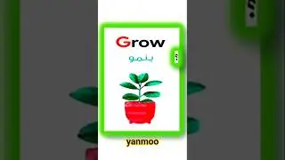 Easy Arabic words for everyday life : Grow - row