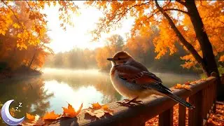 Beautiful Relaxing Music &bull; Soft Autumn Nature Sounds for Healing & Stress Relief&rdquo;