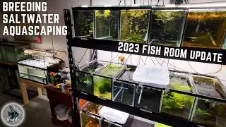 ALL OF MY TANKS! BREEDING PROJECTS, AQUASCAPES AND SALTWATER! (30+ AQUARIUMS!)