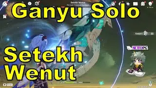 Ganyu Solo Setekh Wenut - No Damage Taken