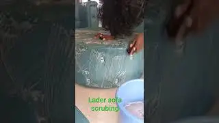 sofa scrubing cleaning #song  #cleanings #housecleaning #cleaningup #professionalcleaners #officecle
