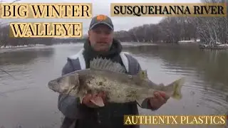 Walleye fishing jigging with plastics (AuthentX) on the susquehanna river