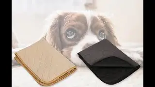Washable Doggie Diaper Pads Cat Diaper
