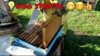 Apicoltura: nido stretto parte 2