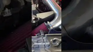 Mustang Ecoboost Turbo flutter🐌🐌 #stutus #shelby #turbo #turboflutter #supra #mustanggt #svt #ford