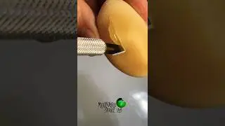 What&rsquo;s inside this egg? #molinarosnakelab #diy #eggcutting #babysnake #python #eggs #reptile #shorts