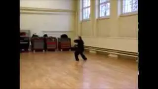 Alfies Chen Taiji Berlin: Alfies Demo beim Chen Bing Seminar 2013