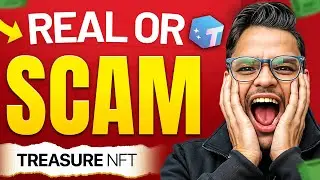 Warren Buffett's $334 Billion Cash Stash | Treasure NFT : Legit or Scam?