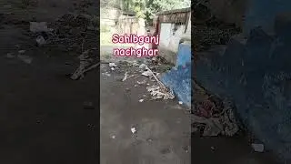 nachghar sahibganj #support #motivation #activeyoutuber