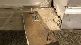 Comprehensive Mold Inspection & Testing in NYC: Manhattan, Brooklyn & Long Island