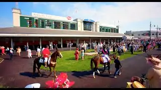 Mat Franco - Kentucky Derby Trifecta