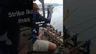 rkit cibuluh jatiluhur#mancingikanmas #mancingnila #mancingjambal #mancing