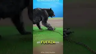 C&oacute;mo funcionan las trampas para osos 🤔