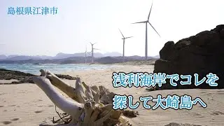 島根県江津市　浅利海岸でコレを探して大崎島へ
