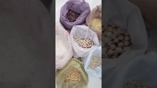 StockVideo - Bags Used For Grains And Beans Storage | non copyright video | Free Download | shorts