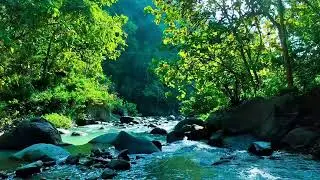 Nature&rsquo;s Pulse &ndash; River Flow for Focus, Sleep, and Healing | Sacred Stream Echoes
