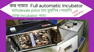 Best incubator in Assam,Egg Incubator machine,Full automatic egg incubator in Assam # egg incubator