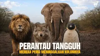 Ironi Koloni: Perantau yang Memilih Menentukan Nasib Sendiri