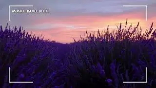Mind Wonder - Healing & Relaxing, Focus, Vibe, Chill, Study, Dreamy, Nostalgic, Introspective music