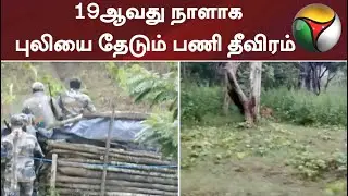 நீலகிரி: 19ஆவது நாளாக புலியை தேடும் பணி தீவிரம் | Nilgiri | Tiger