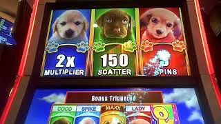 OMG Puppies Slot Machine BIG WIN Bonus(2)