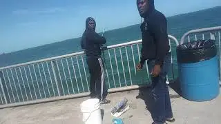 wake up video Stock Island Florida