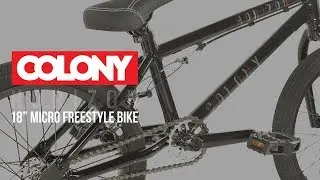 Colony Horizon 18