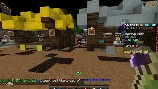 ExpShare- Hypixel Skyblock