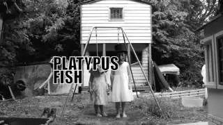 PLATYPUS - FISH