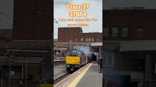Class 37 884 purrs like a kitten before giving out a lion&rsquo;s growl #trainspotting #trains #class37