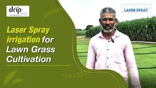Laser Spray (Rain Pipe / Rain Hose) irrigation for Lawn Grass cultivation.