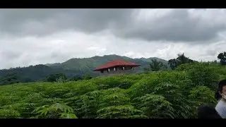 Amazing Farm View Scene - A pre-birthday celebration