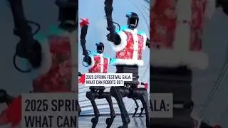 2025 Spring Festival Gala: What can robots do?
