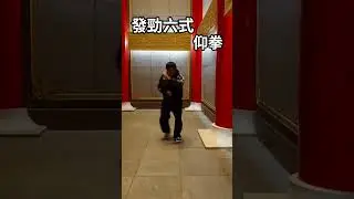 八極拳 發勁六式 仰拳