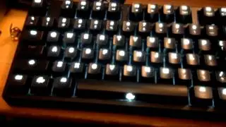 Ducky Shine 2 ligthing effects
