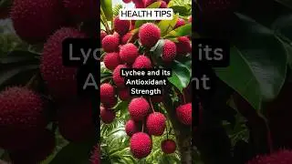 😮 The Antioxidant Power of Lychees #antioxidants #lychees #short #shorts #antioxidantfoods