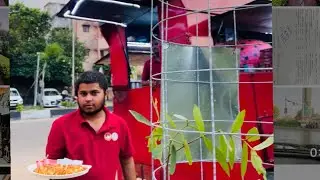  The World&rsquo;s #1 Best Pizza!! 🍕 | Pizza Bae