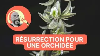 Résilience climatique au collège, bouteilles consignées, résurrection d'orchidée