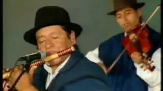Ñanda Mañachi - Toro Barroso