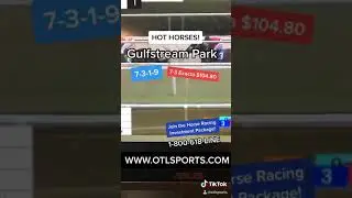 Top Horse Racing Picks from OTL&rsquo;S Exclusive Horse Racing Experts