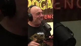 MSG WENT ABSOLUTELY APESHIT! 🤯 The shocking moment Kill Tony proved it's *pure* pro wrestling th...