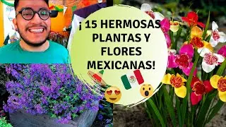 15 Flores y plantas originarias de México / Plantas mexicanas y sus nombres